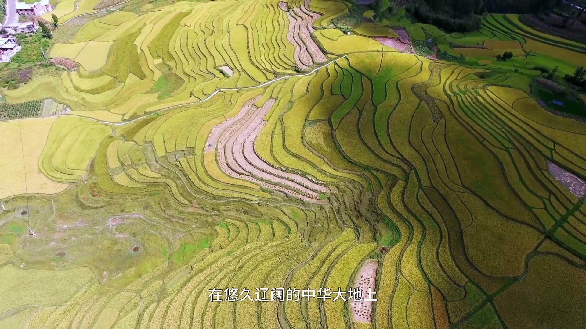 腾天阁年货宣传片
